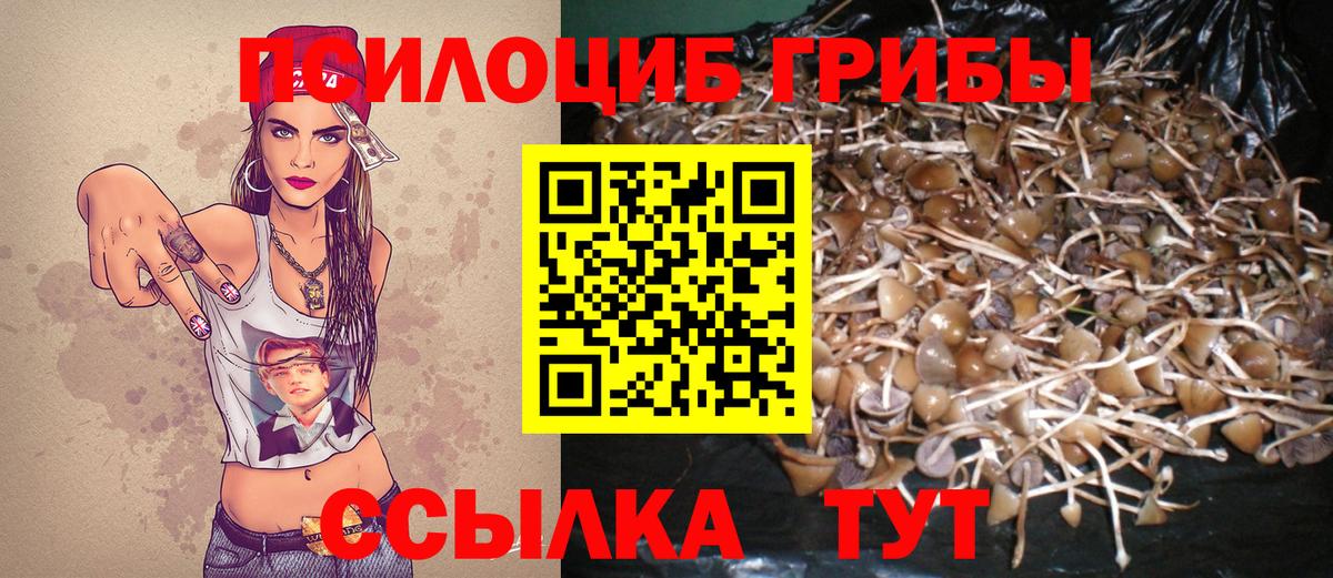 Черняховск  Псилоцибиновые грибы Cubensis  Вход с VPN  Галлюциногенные грибы MAGIC MUSHROOMS 